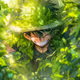 One Piece Anime