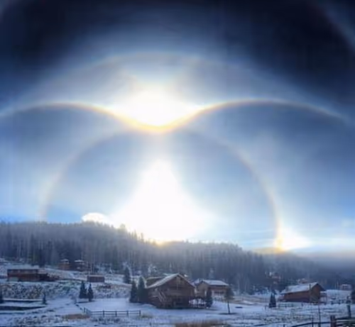 contend.lens-Collect-22