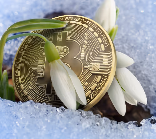 CryptoSpring V3