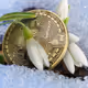 CryptoSpring V3