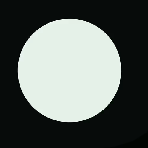 BirdsAndDots
