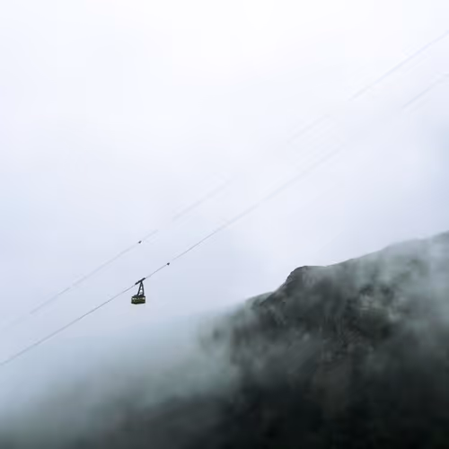 chaoticmonk.lens-Collect-4633