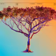 Indaba Tree 001 V2