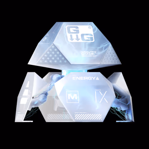 Item #25 Media