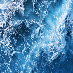 Ocean