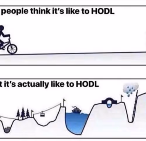 adani.lens-Collect-1065