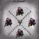 Pi Chart