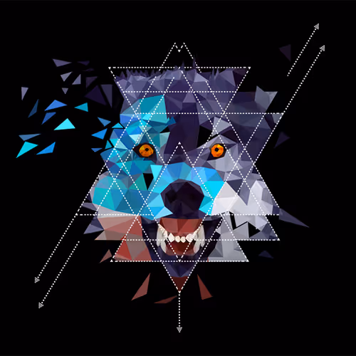 awarix.lens-Collect-4