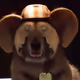 CC