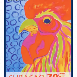 Rooster, 70 CT
