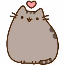 bloom cat