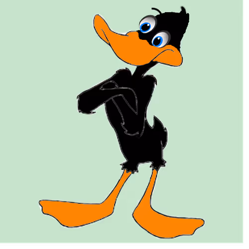 Confused Ducky
