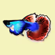 Guppies V2