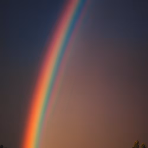 nothingholic.lens-Collect-637