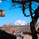 0x838.lens-Collect-469