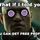 MEMETIC CULTURE