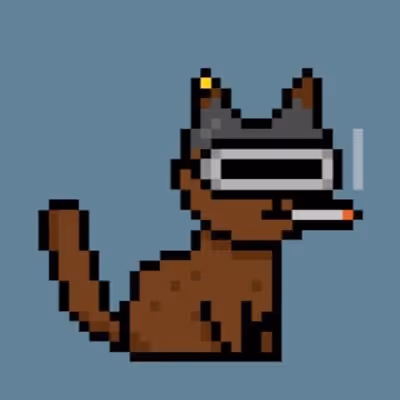 Punk Cat