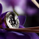 BTC_chopsticks and purple magnolia flowers