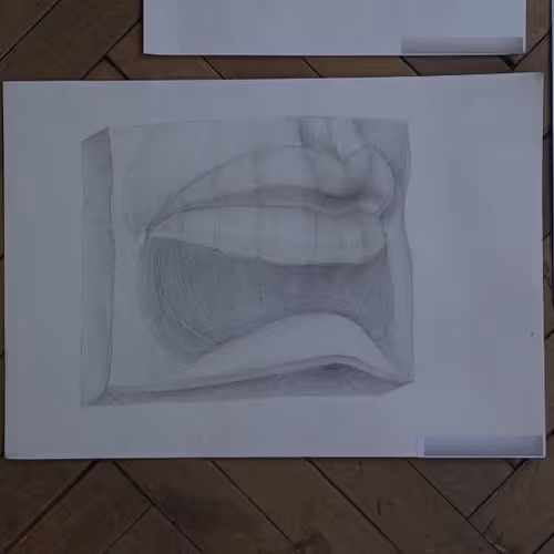 ustas.lens-Collect-469