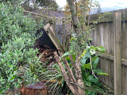 Item #80879840001451919384001045261058892020911433267621717443310830747649 Media