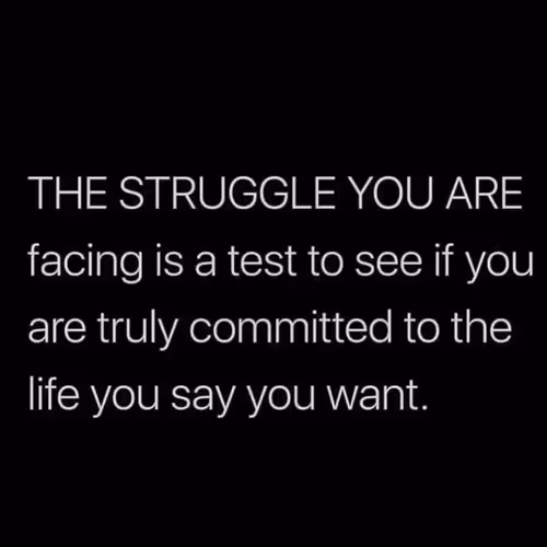 kingjunaid12.lens-Collect-2173