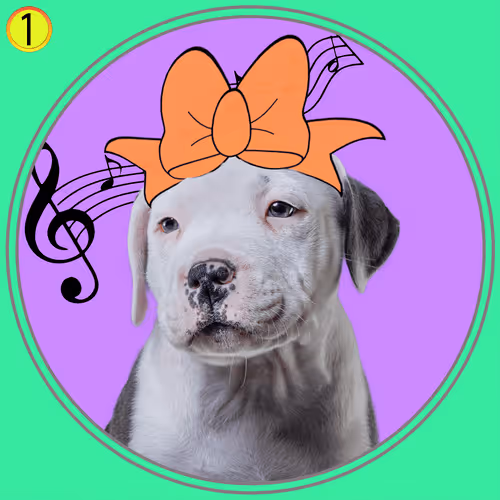 Barksie Staffy Puppies