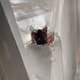 ramon_aby.lens-Collect-32
