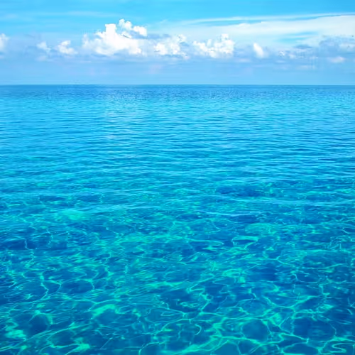sea