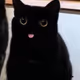 baibu