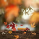 murauchitomomi.lens-Collect-333