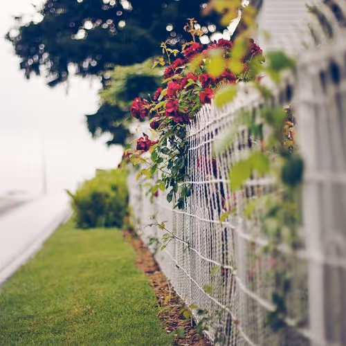 vanem9475.lens-Collect-1089