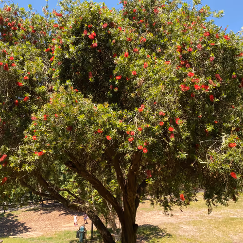 easyfun.lens-Collect-192