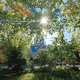 agrislis.lens-Collect-295