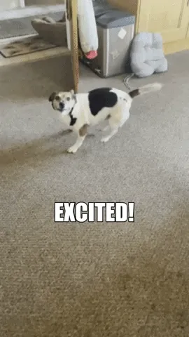 rajarajan.lens-Collect-265