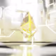ARMED JEWEL Lemonade Edition