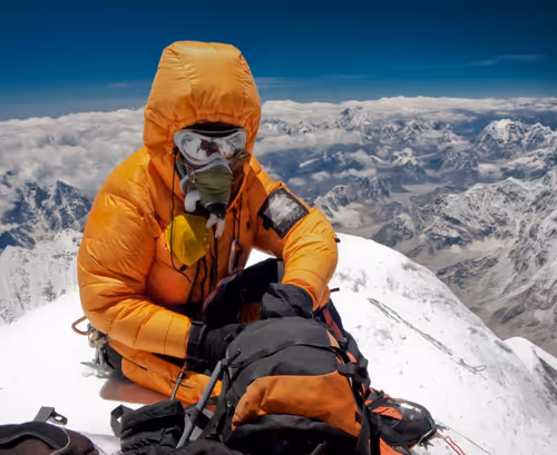 Item #80879840001451919384001045261058892020911433267621717443310830747649 Media