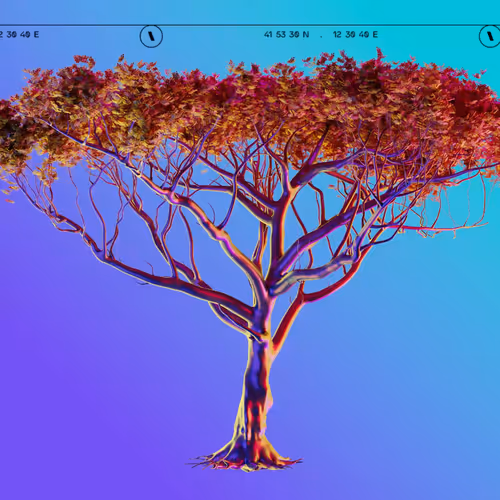 TBWA Indaba Tree  Azzurro