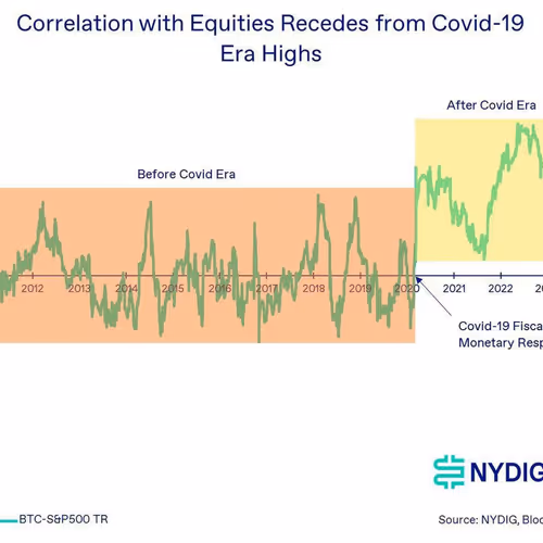 codexx.lens-Collect-1429