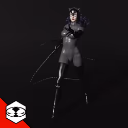Catwoman - Grey #102