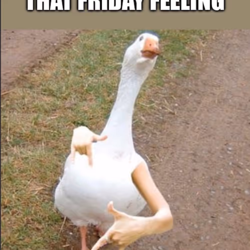 Lens Collect | Profile #118192 - Publication #1781