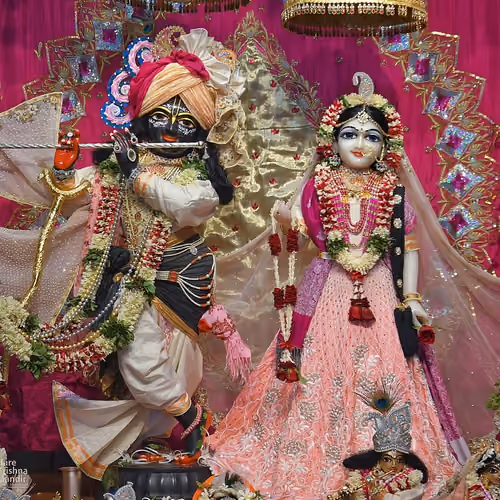 Radhekrishna2588