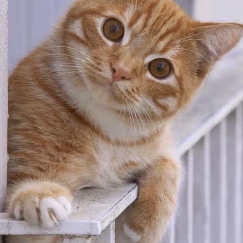 junjun01738796.lens-Collect-432