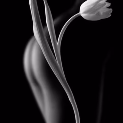 Unknown