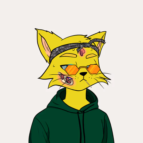 Reality Kingdom Reality Cats