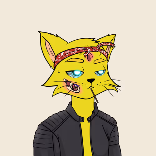 Reality Kingdom Reality Cats