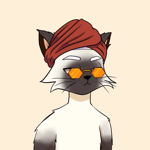 Reality Kingdom Reality Cats
