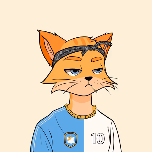 Reality Kingdom Reality Cats
