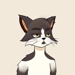 Reality Cat #6044