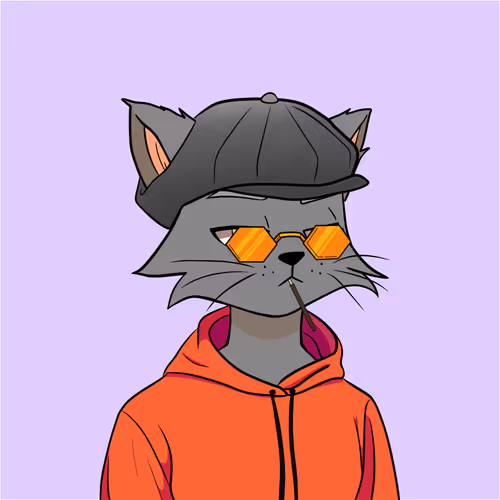 Reality Kingdom Reality Cats