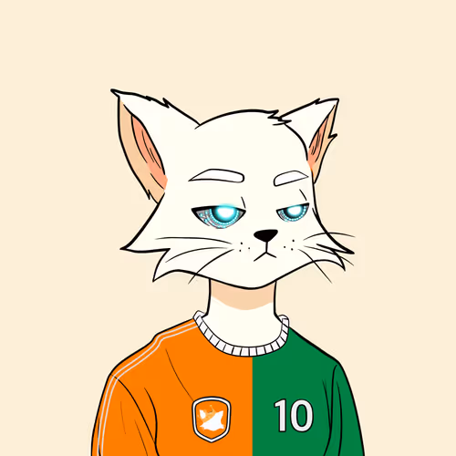 Reality Kingdom Reality Cats